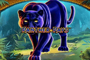 Panther Pays - BIROPAY28