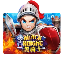 Black Knight - BIROPAY28
