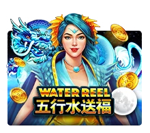 Water Reel - BIROPAY28