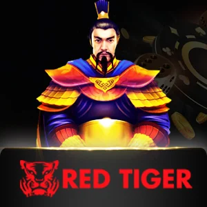 Redtiger - BIROPAY28