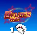 Deuces Wild 1 Hand - BIROPAY28