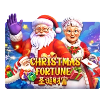 Christmas Fortune - BIROPAY28