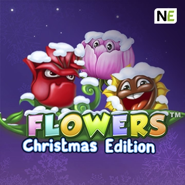 Flowers Christmas Edition - BIROPAY28