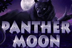 Panther Moon - BIROPAY28