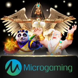 Microgaming - BIROPAY28