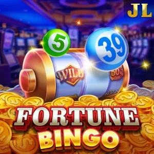 Fortune Bingo - BIROPAY28