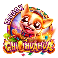 Facai : CHILIHUAHUA - BIROPAY28
