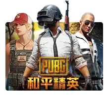 Pubg - BIROPAY28