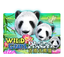 Wild Giant Panda - BIROPAY28