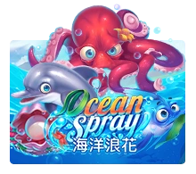 Ocean Spray - BIROPAY28