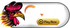 GA28 - BIROPAY28
