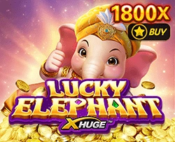 Lucky Elephant X-Huge - BIROPAY28