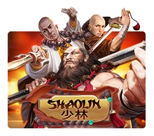Shaolin - BIROPAY28