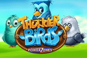 Power Zones: Thunder Birds - BIROPAY28