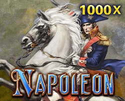 Napoleon - BIROPAY28