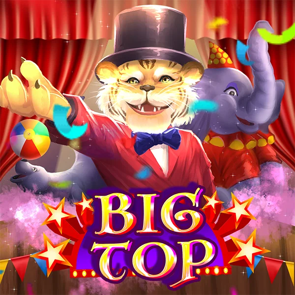 Big Top - BIROPAY28