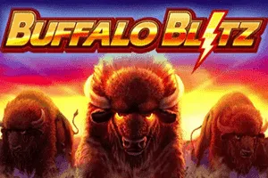 Buffalo Blitz - BIROPAY28