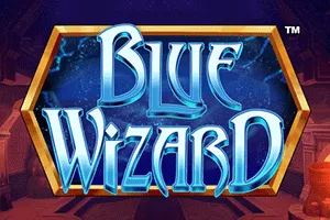 Blue Wizard - BIROPAY28