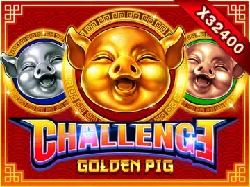 PLAYSTAR : FEATURE BUY・GOLDEN PIG - BIROPAY28