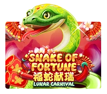 Snake Of Fortune - BIROPAY28
