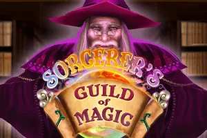 Sorcerers Guild of Magic - BIROPAY28
