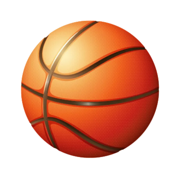 Basketball 篮球 - BIROPAY28