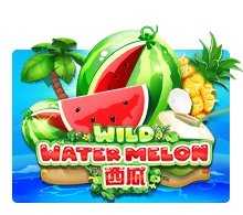 Wild Watermelon - BIROPAY28
