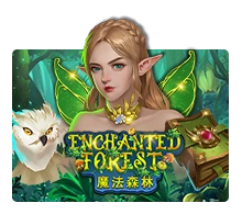 Enchanted Forest - BIROPAY28