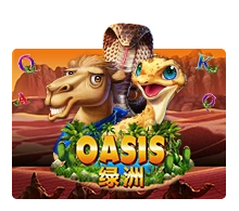 Oasis - BIROPAY28