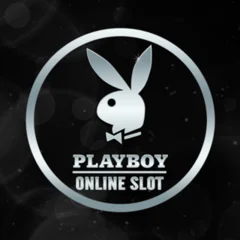 Playboy - BIROPAY28